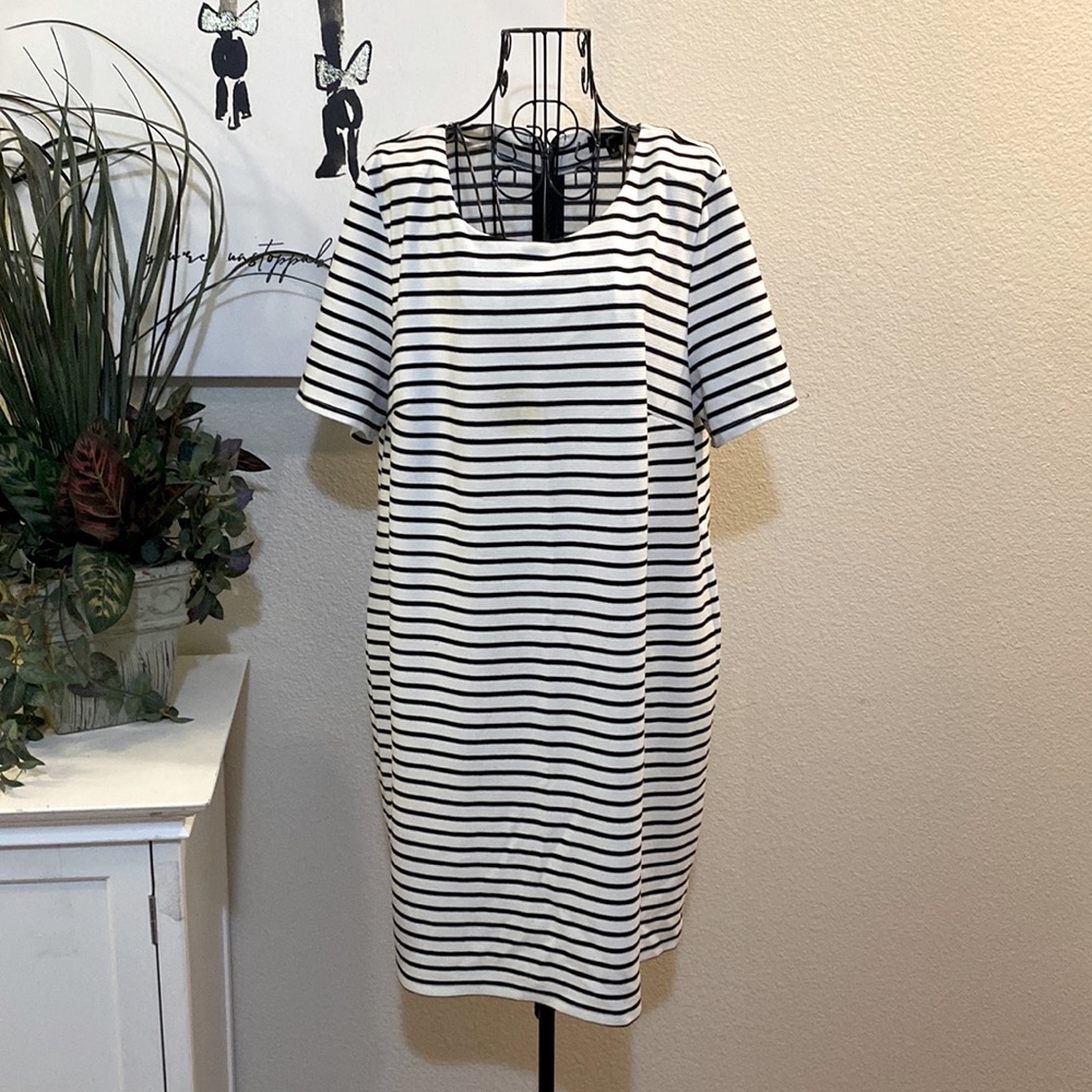 Cute Short Sleeve Dress